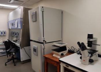 picture of the Tissue Culture Rooms